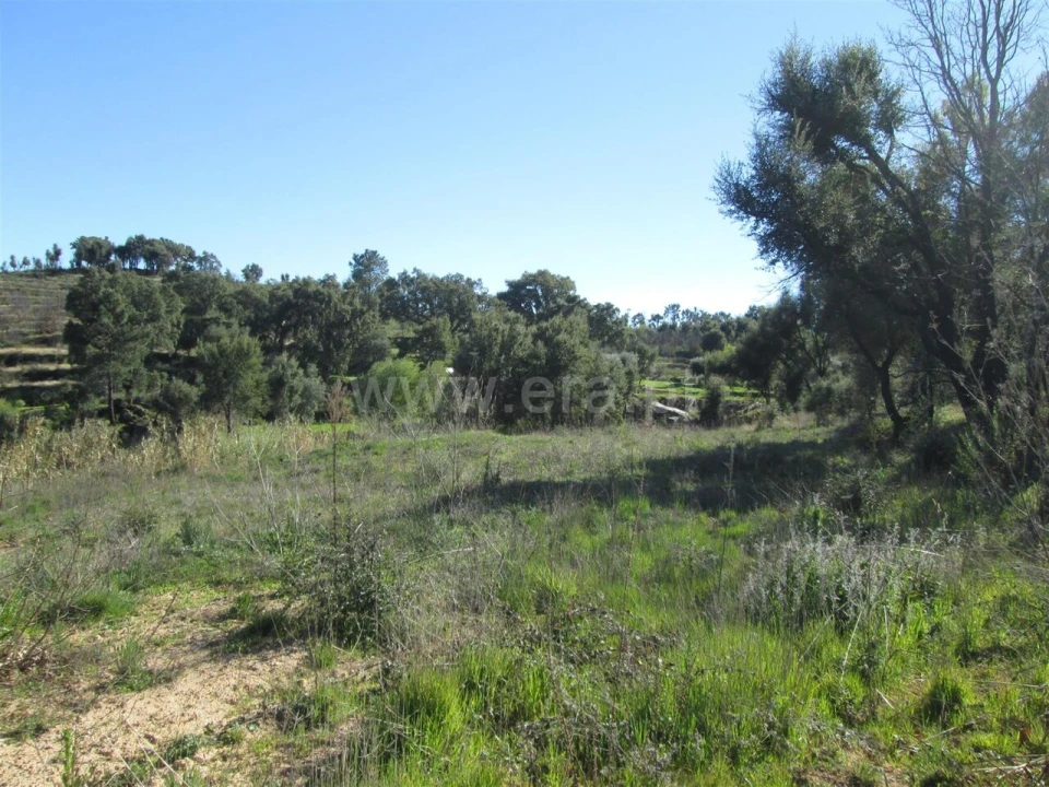 Terreno para Venda em Telhado Foto 9