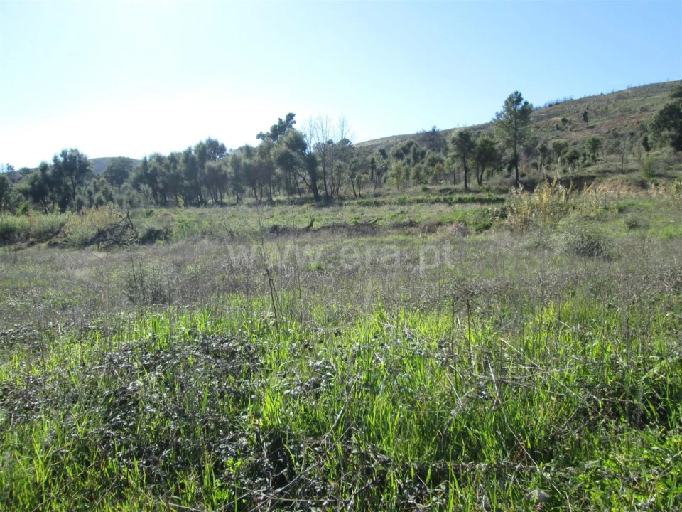 Terreno para Venda em Telhado Foto 6