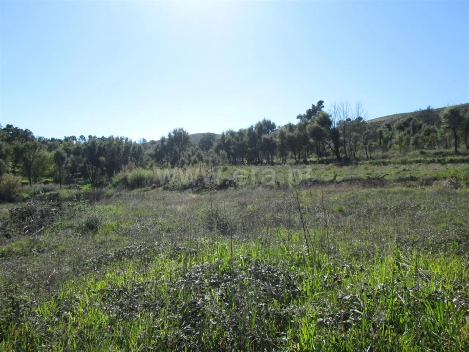 Terreno para Venda em Telhado Foto 8