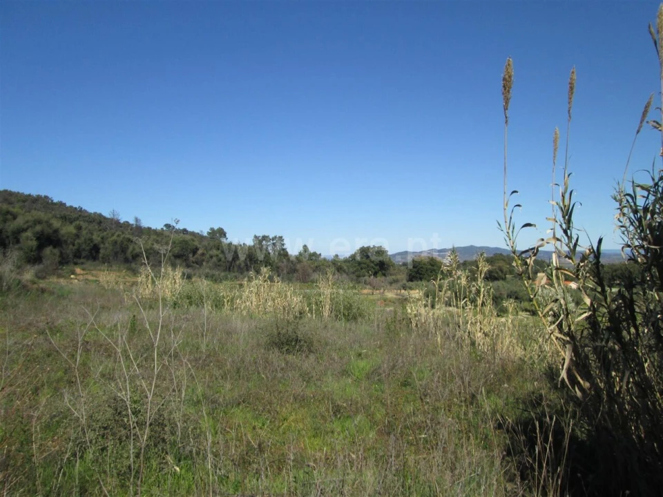 Terreno para Venda em Telhado Foto 4