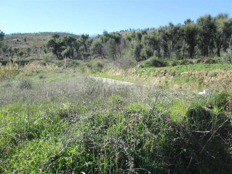 Terreno para Venda em Telhado Foto 5