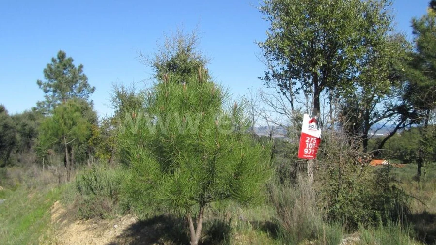 Terreno para Venda em Telhado