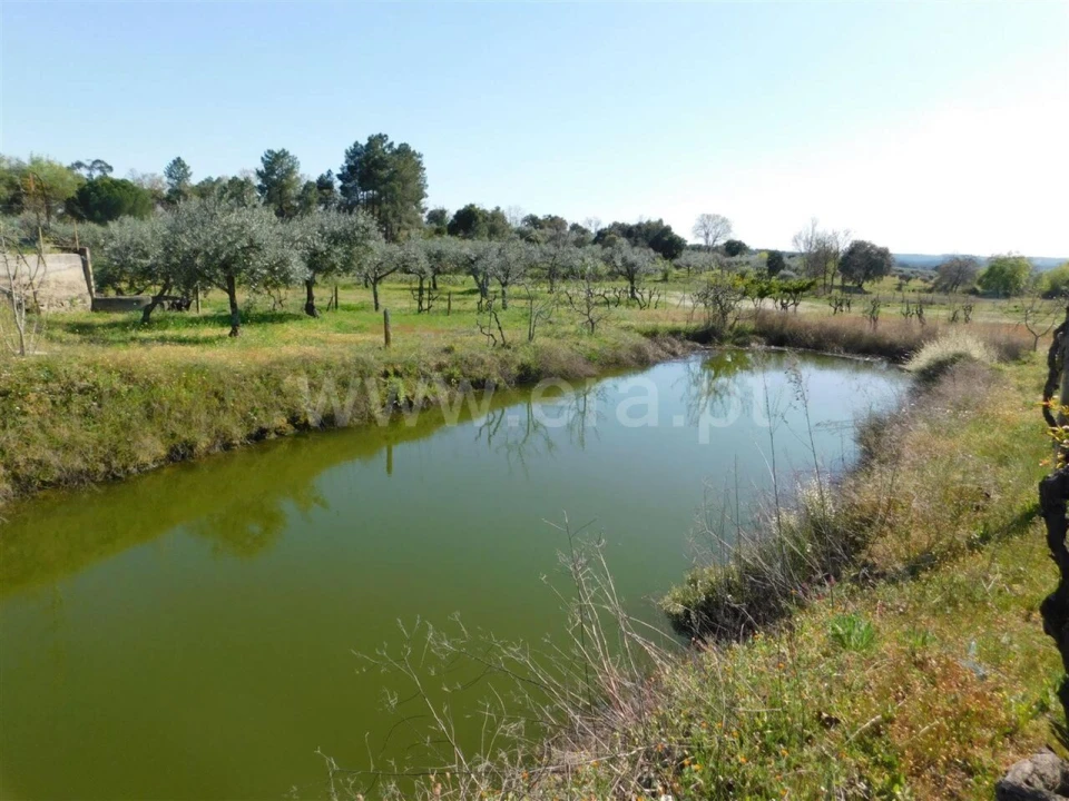 Quinta T0 para Venda em Orca Foto 2