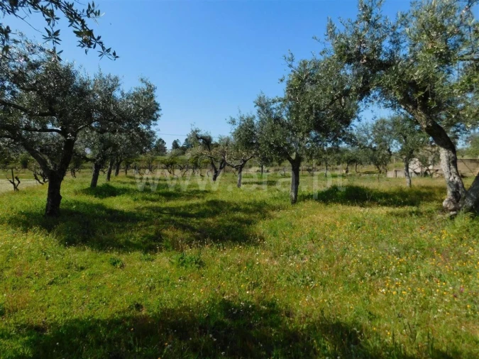 Quinta T0 para Venda em Orca Foto 4