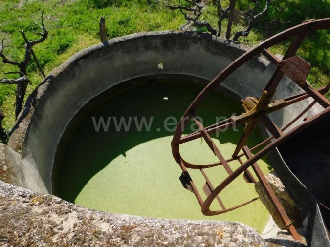 Quinta T0 para Venda em Orca Foto 11