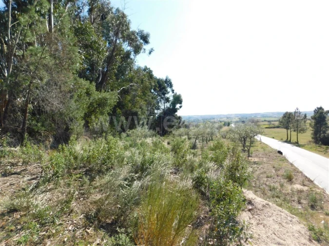 Quinta T0 para Venda em Orca Foto 15