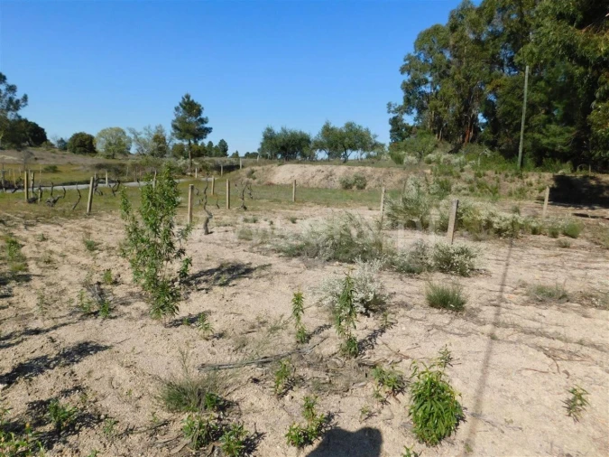 Quinta T0 para Venda em Orca Foto 13