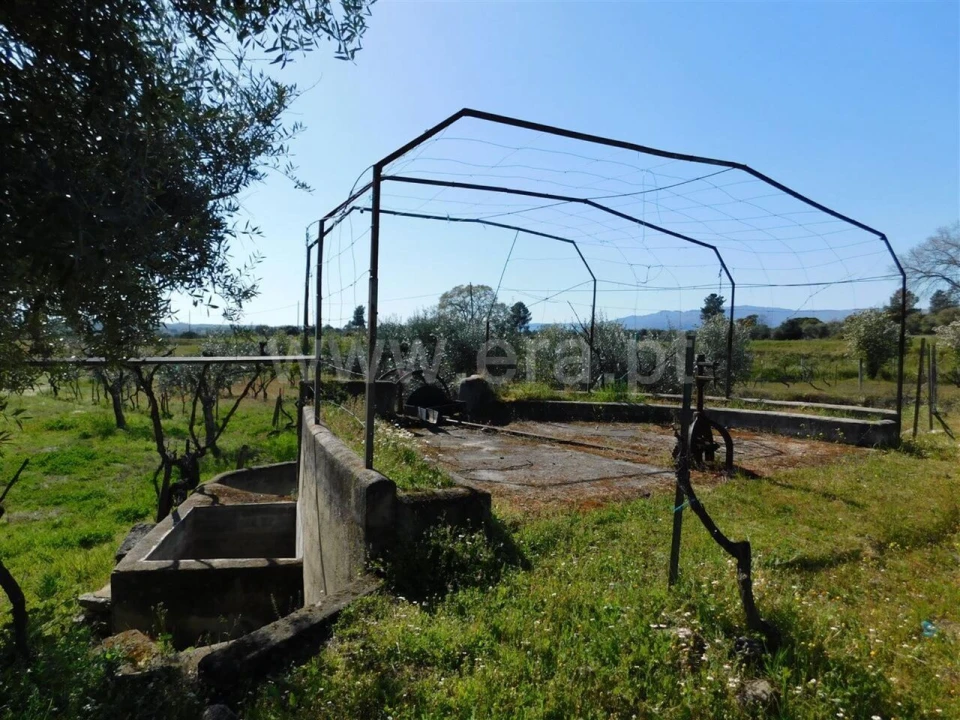 Quinta T0 para Venda em Orca Foto 12