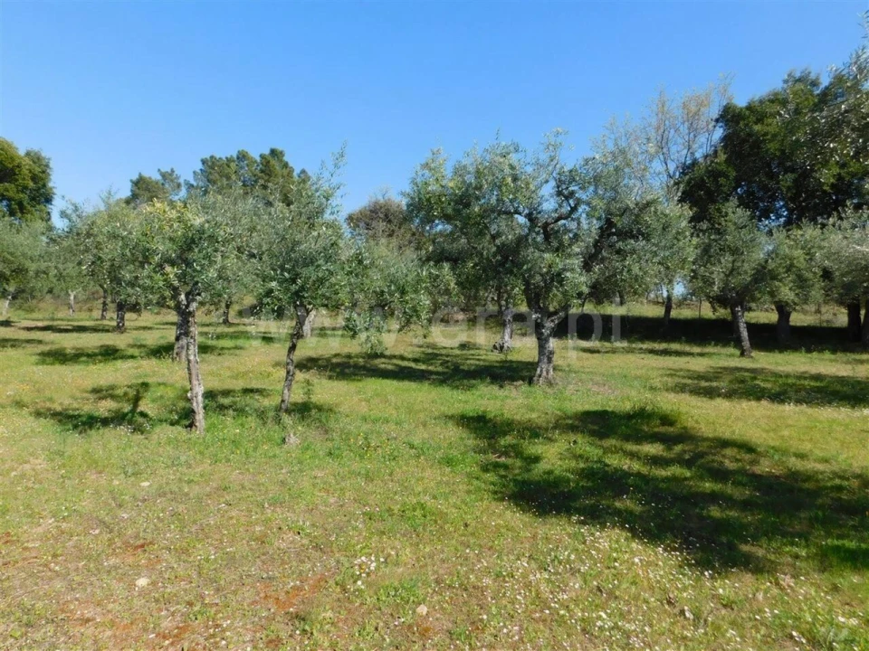 Quinta T0 para Venda em Orca Foto 5