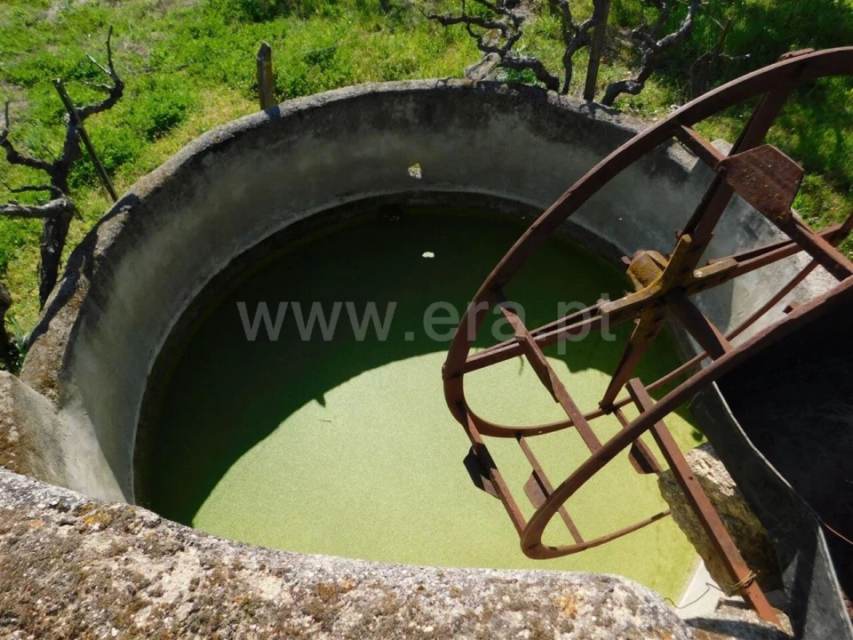 Quinta T0 para Venda em Orca Foto 11