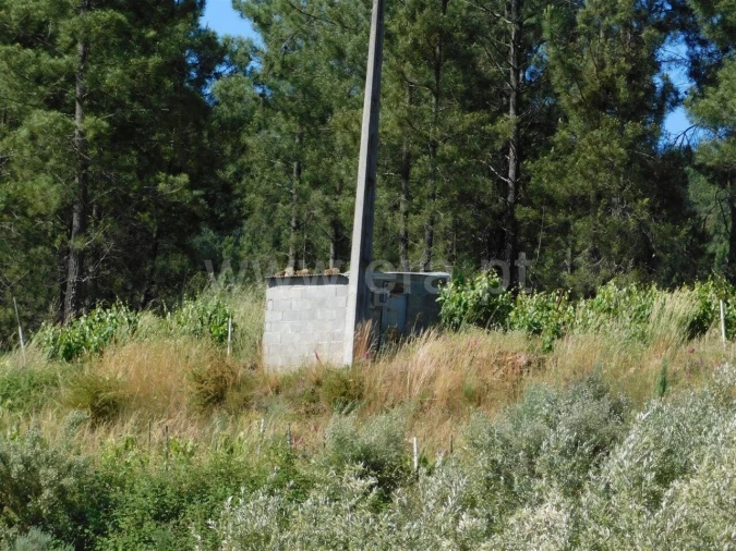 Terreno para Venda em Silvares Foto 8
