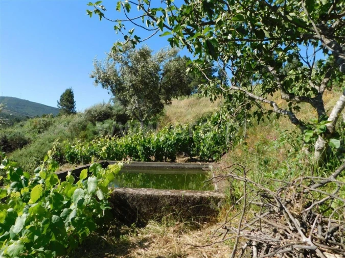 Terreno para Venda em Silvares Foto 11