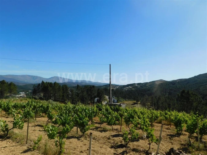 Terreno para Venda em Silvares Foto 3