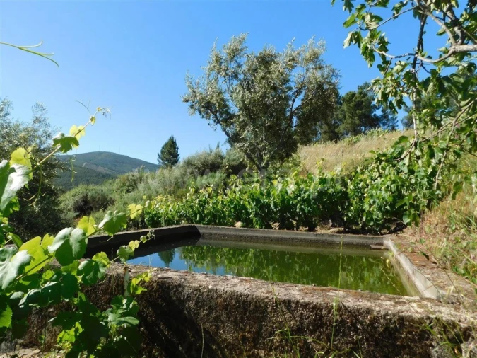 Terreno para Venda em Silvares Foto 12
