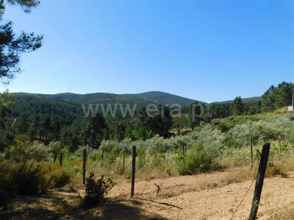 Terreno para Venda em Silvares Foto 10