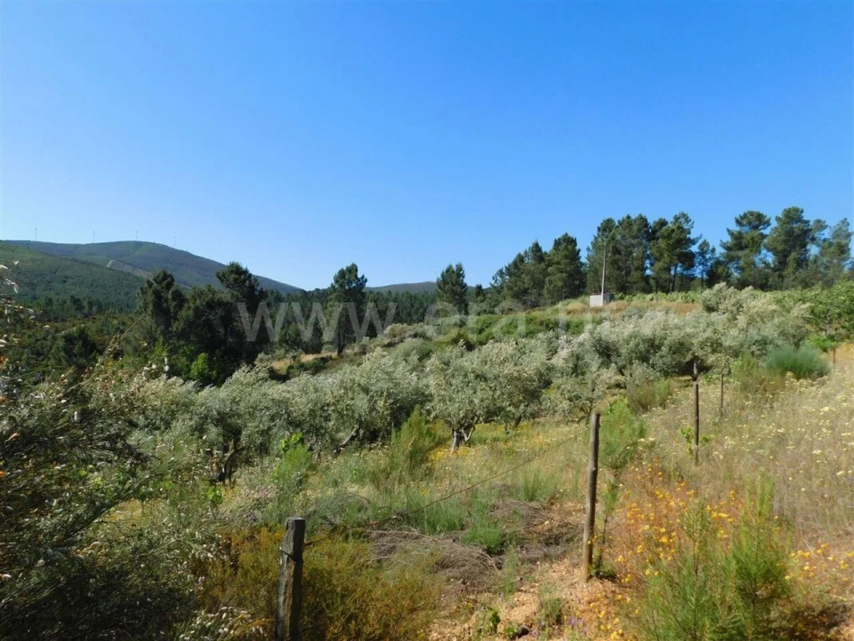 Terreno para Venda em Silvares Foto 9