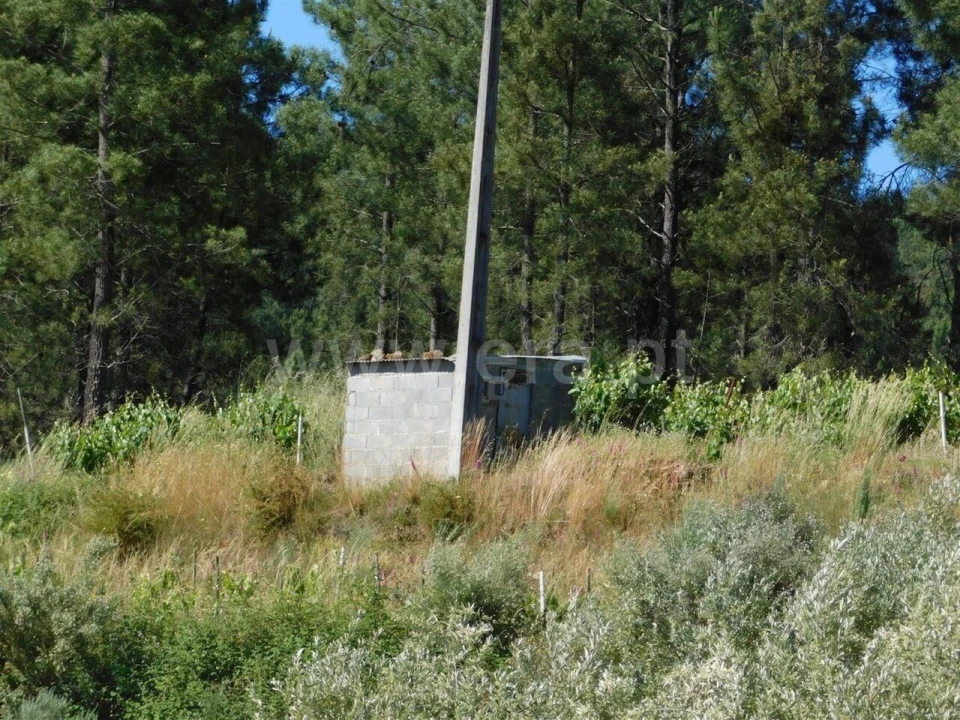 Terreno para Venda em Silvares Foto 8