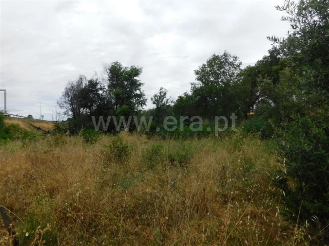 Terreno para Venda em Soalheira Foto 4