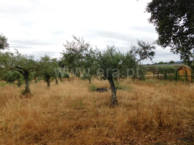 Terreno para Venda em Soalheira Foto 2