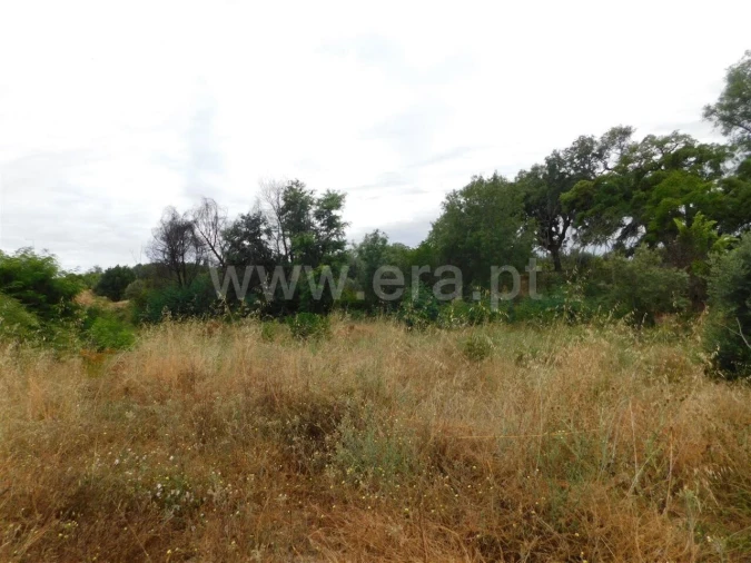 Terreno para Venda em Soalheira Foto 5