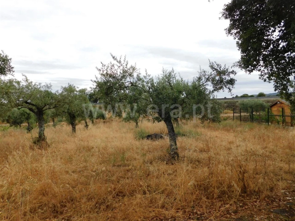 Terreno para Venda em Soalheira Foto 2