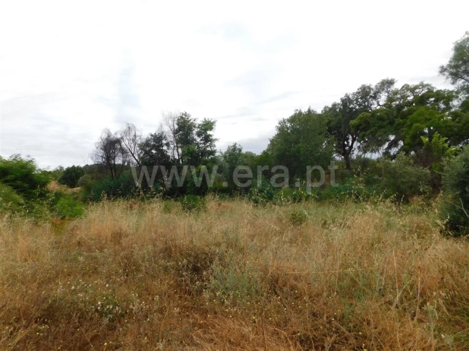 Terreno para Venda em Soalheira Foto 5