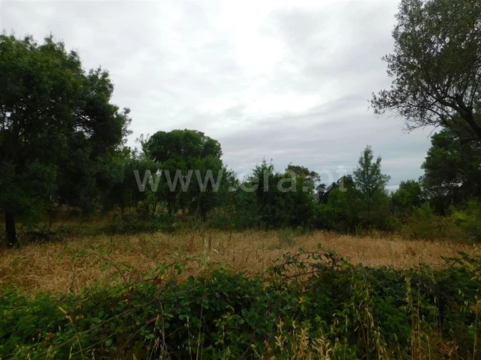 Terreno para Venda em Soalheira Foto 3