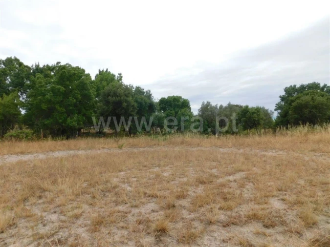 Terreno para Venda em Soalheira Foto 4