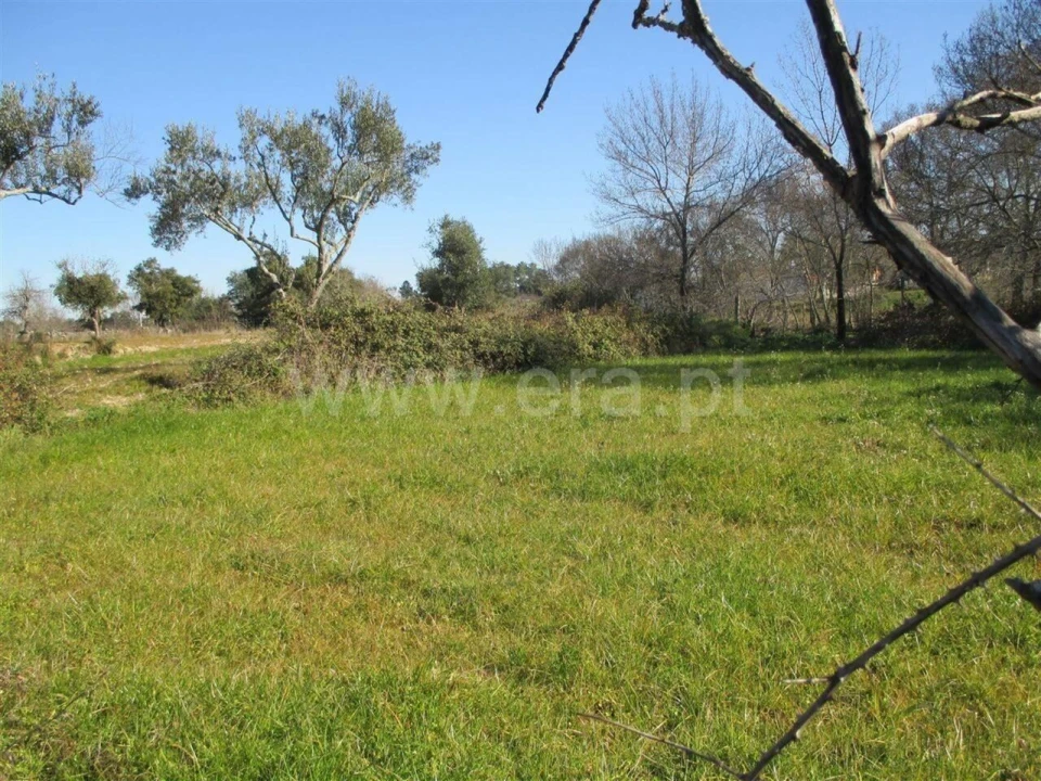 Terreno para Venda em Soalheira Foto 5