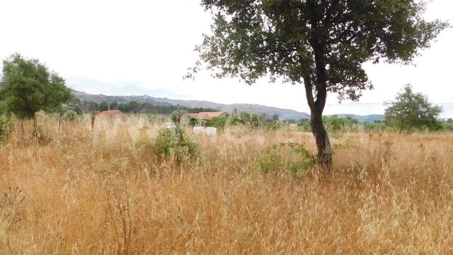 Terreno para Venda em Soalheira