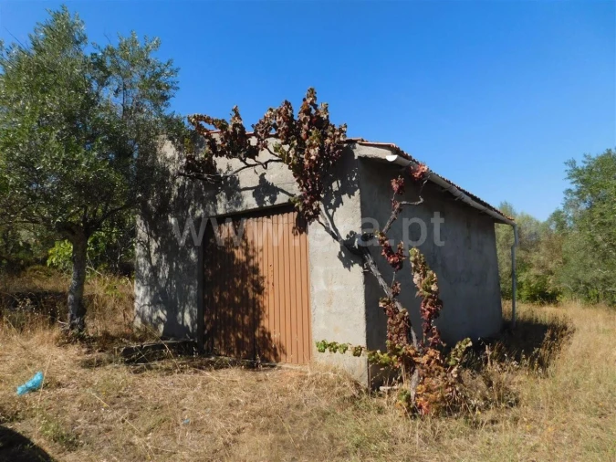Terreno para Venda em Capinha Foto 4