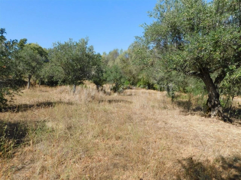 Terreno para Venda em Capinha Foto 5