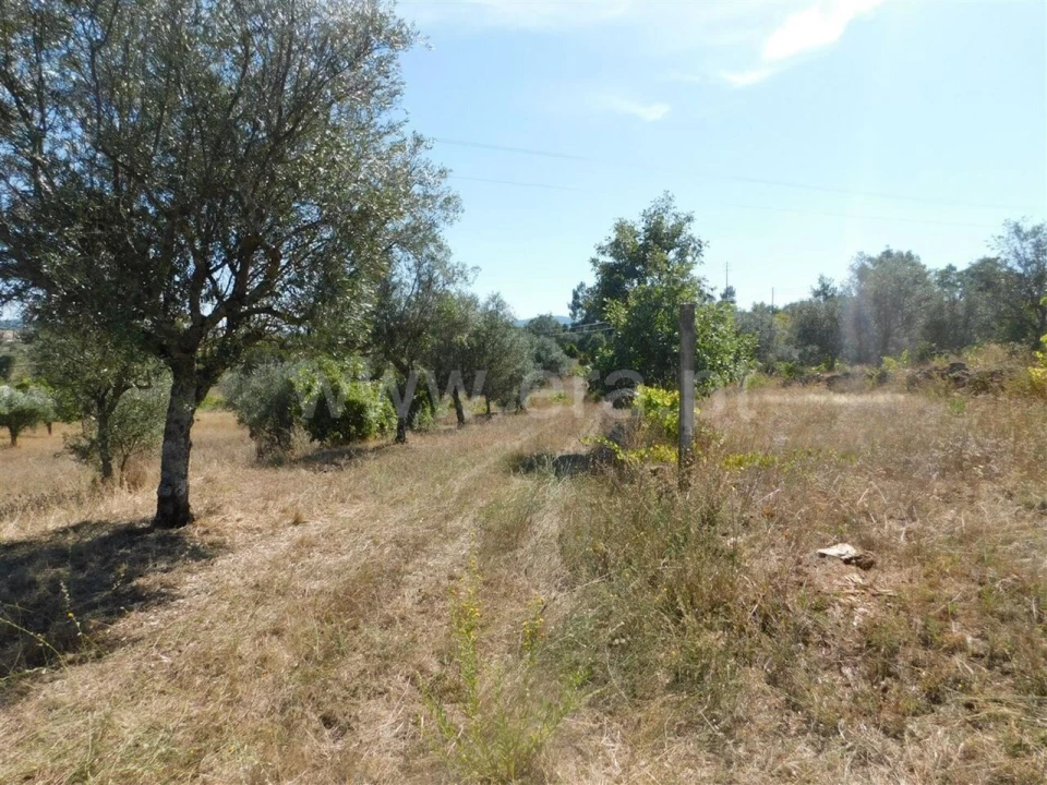 Terreno para Venda em Capinha Foto 2