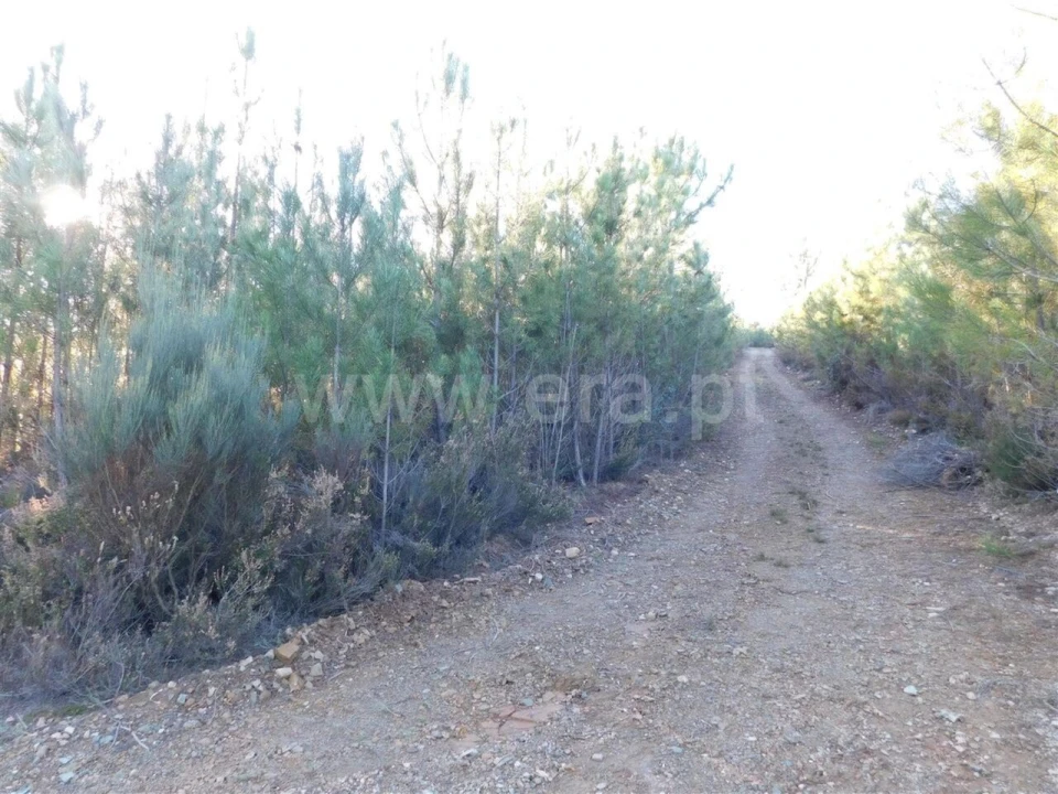 Terreno para Venda em Aldeia de São Francisco de Assis Foto 10