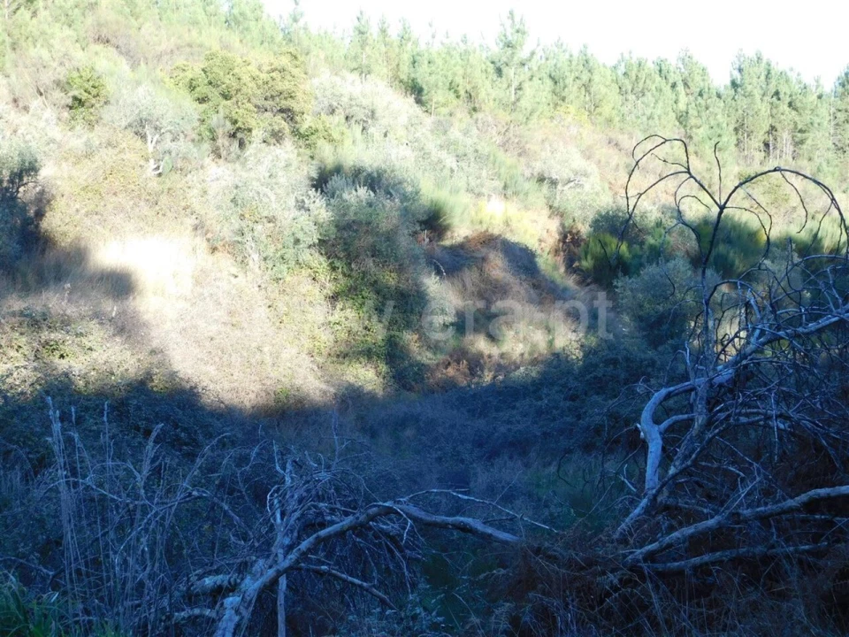 Terreno para Venda em Aldeia de São Francisco de Assis Foto 7
