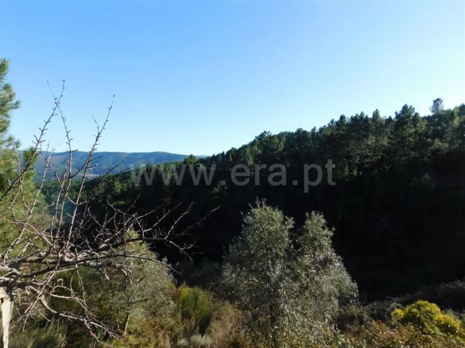 Terreno para Venda em Aldeia de São Francisco de Assis Foto 2
