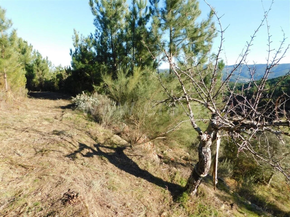 Terreno para Venda em Aldeia de São Francisco de Assis Foto 3