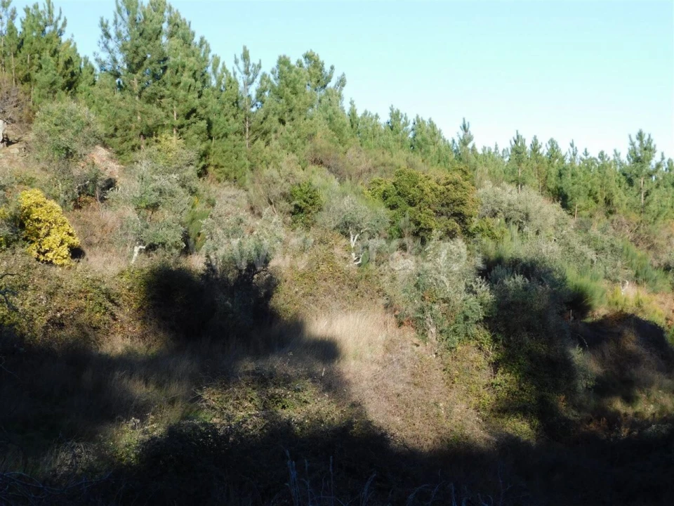 Terreno para Venda em Aldeia de São Francisco de Assis Foto 6