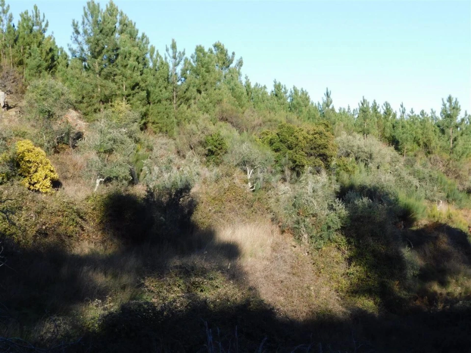 Terreno para Venda em Aldeia de São Francisco de Assis Foto 5