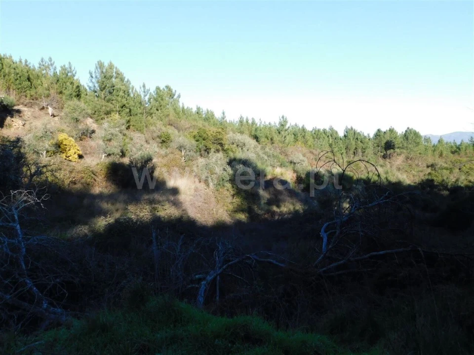 Terreno para Venda em Aldeia de São Francisco de Assis Foto 8