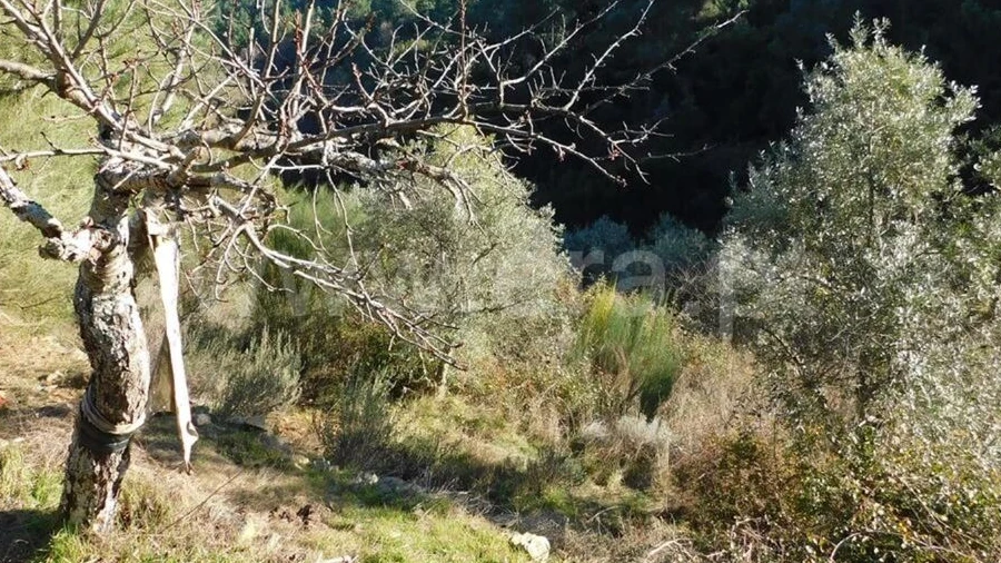 Terreno para Venda em Aldeia de São Francisco de Assis
