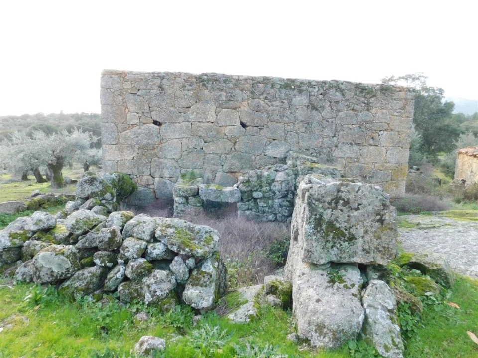 Moradia T0 para Venda em Alpedrinha Foto 3