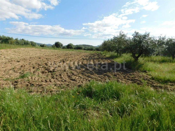 Terreno para Venda em Telhado Foto 4