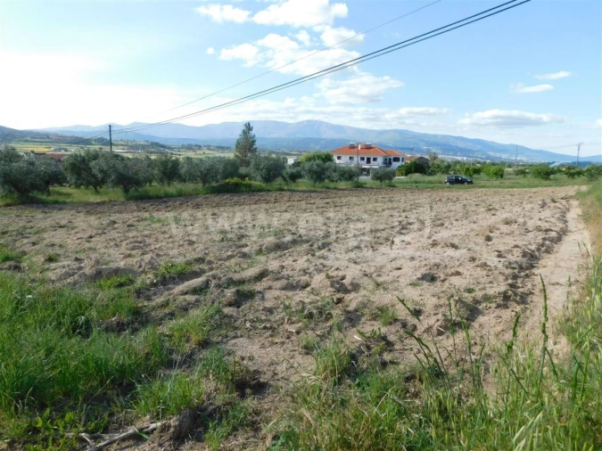 Terreno para Venda em Telhado Foto 3