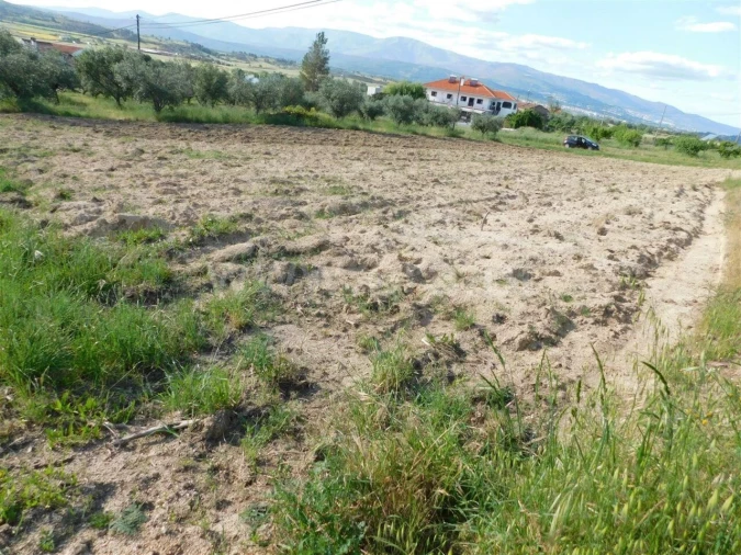 Terreno para Venda em Telhado Foto 2