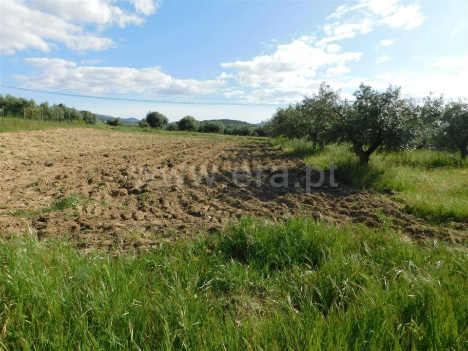 Terreno para Venda em Telhado Foto 4