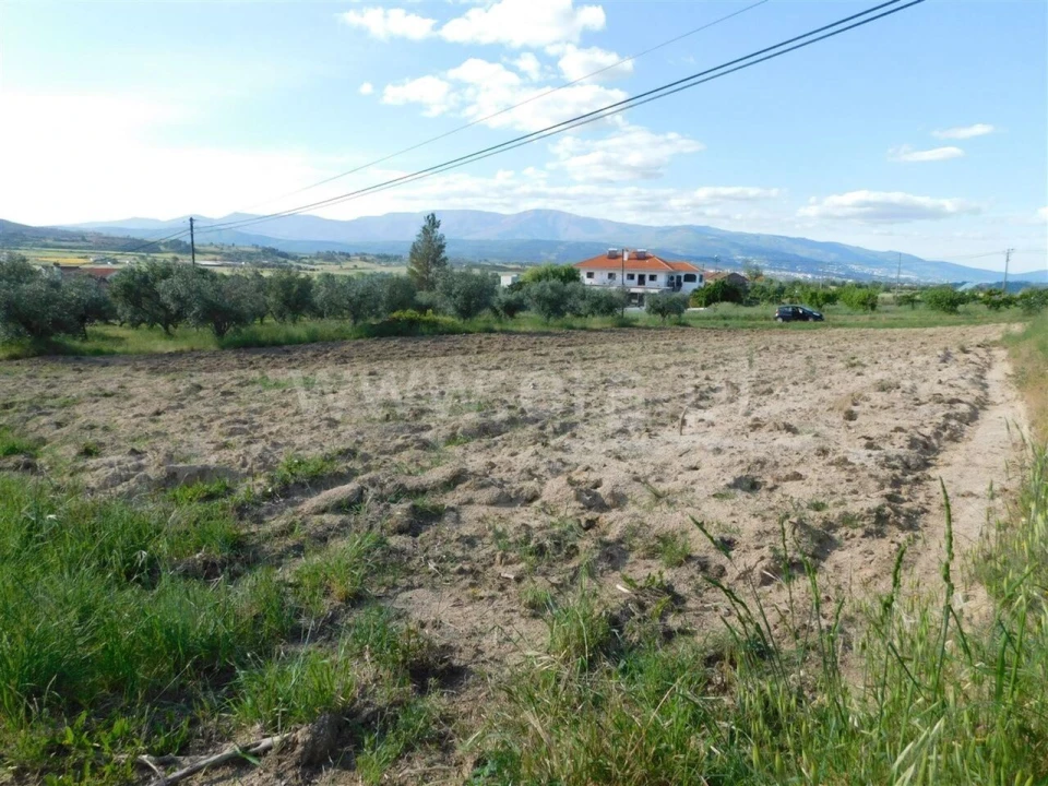 Terreno para Venda em Telhado Foto 3