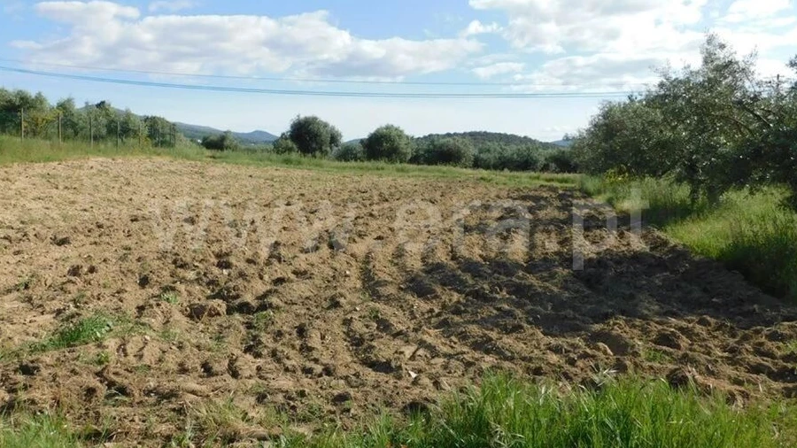 Terreno para Venda em Telhado