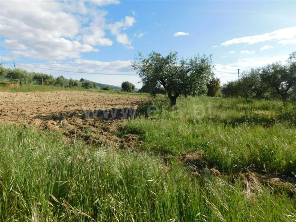 Terreno para Venda em Telhado Foto 5