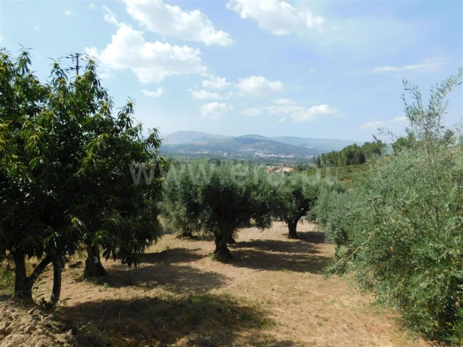 Terreno para Venda em Alcaria Foto 4